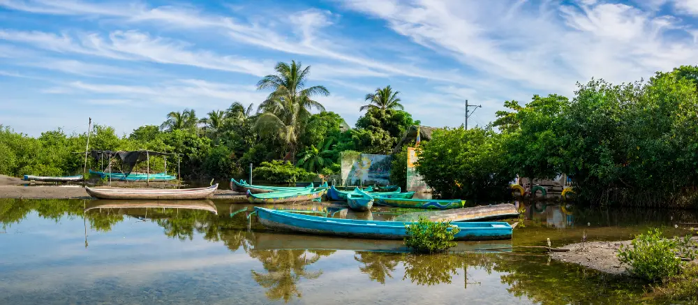 Manglares de la Boquilla